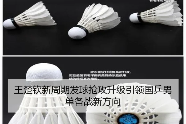 王楚钦新周期发球抢攻升级引领国乒男单备战新方向